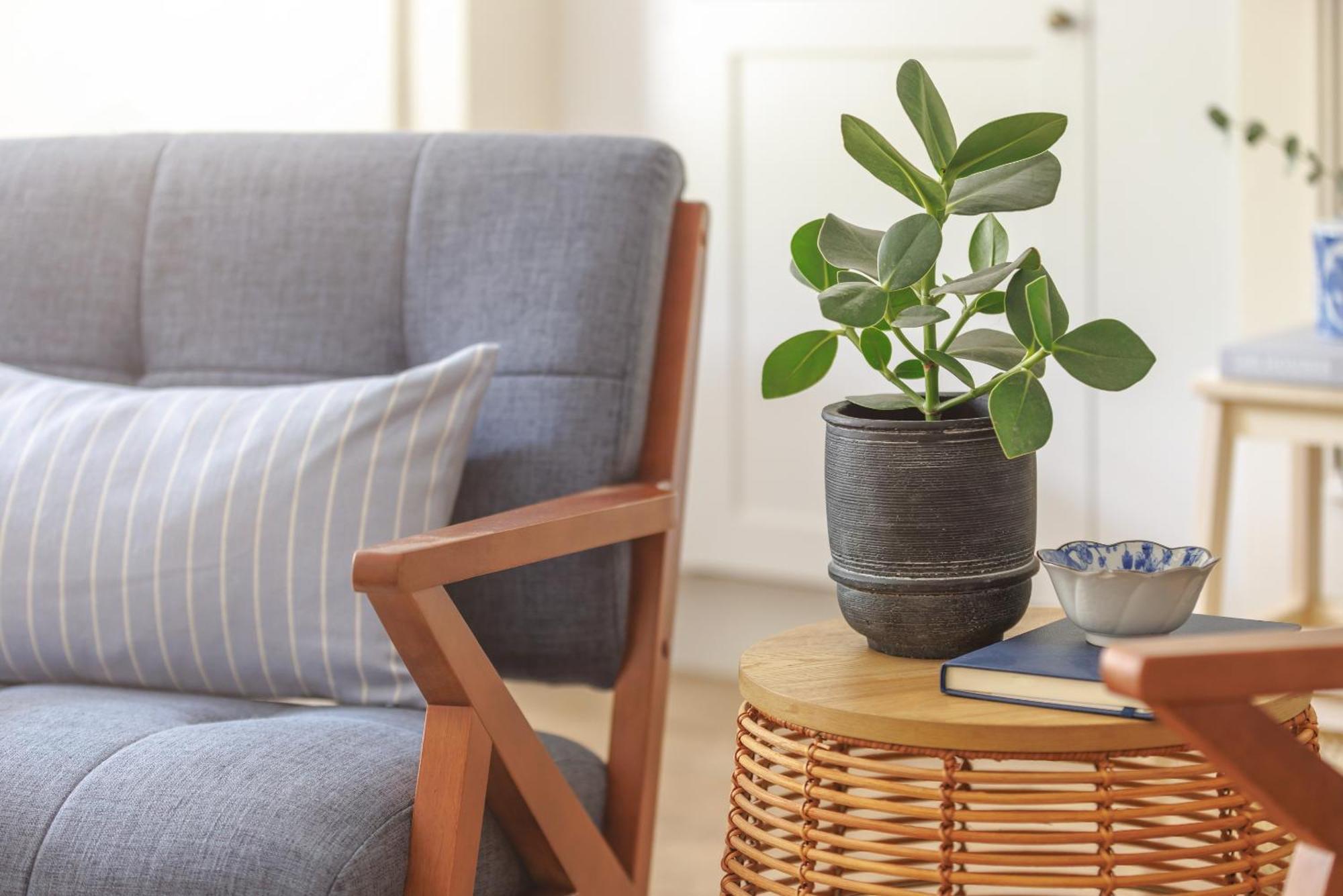 Ocean City Stylish Apartment พลีมัธ ภายนอก รูปภาพ