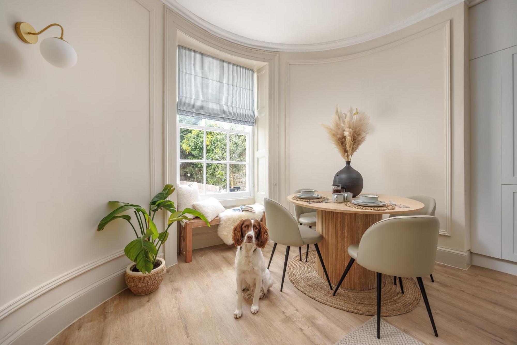 Ocean City Stylish Apartment พลีมัธ ภายนอก รูปภาพ